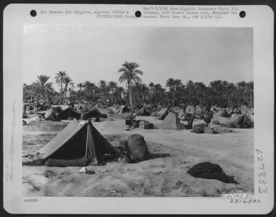 Consolidated > Algiers, Algeria-View of camp of 12th Air Force.