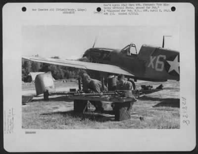 Consolidated > Armourers of the United Army Air Forces at work on the guns of a Kittyhawk fighter airfield in Tripolitania, Libya.