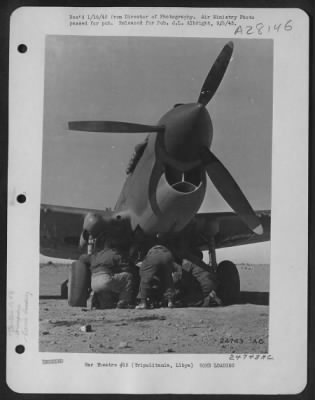 Consolidated > Armorers load bombs into a fighter-bomber on an advanced airfield in Tripolitania, Libya, before a sortie over the enemy lines.