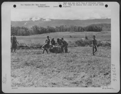 Thumbnail for Consolidated > During the construction of Eunice Airstrip in New Guinea, native labor was recruited to help build the strip. The people were too primitive to be interested in trinkets or money, but they did agree to work agree to work if they were paid with salt.