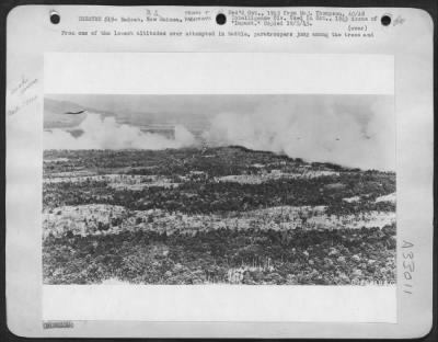 Thumbnail for Consolidated > From one of the lowest altitudes ever attempted in battle, paratroopers jump among the trees and 12-ft. high kunai grass of the Markham valley. There were no fatalities and injuries were confined to bones broken hitting trees. 503rd Parachute