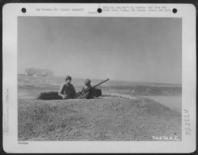 Thumbnail for Consolidated > Anti-Aircraft Gun Emplacement At Karachi, India.