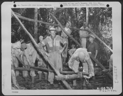 Consolidated > Jungle Survival School, New Guinea.