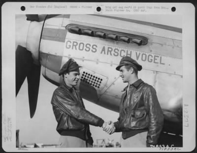 Thumbnail for Fighter > Two Pilots Of The 364Th Fighter Group, 67Th Fighter Wing, Shake Hands After Completing A Mission As They Stand Beside The North American P-51 'Gross Arsch Vogel' At 8Th Air Force Station F-375, Honnington, England.  17 October 1944.