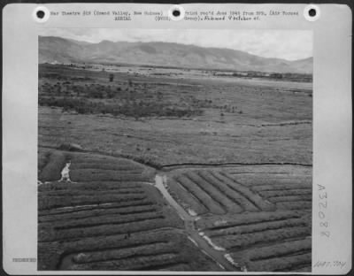 Thumbnail for Consolidated > Grand Valley, (sometimes known as Shangri-La) of the Balim River, New Guinea.