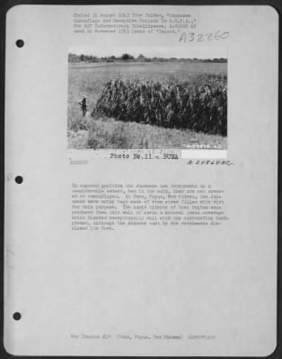 Thumbnail for Consolidated > In exposed position the Japanese use revetments to a considerable extent, but in the main, they are not covered or camouflaged. At Buna, Papua, New Guinea, the Japanese were using bags made of rice straw filled with dirt for this purpose. The humid