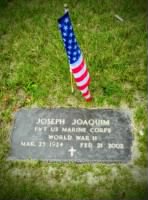 Thumbnail for Joseph Joaquim Grave.jpg