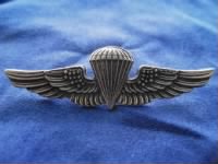 Thumbnail for Parachutist Badge.jpg