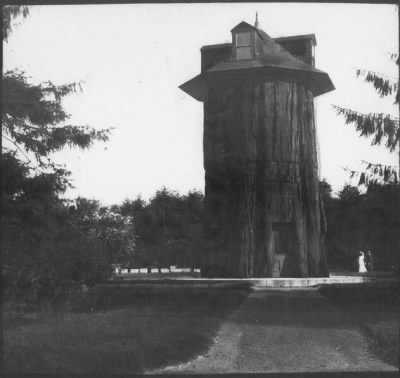 Thumbnail for Washington, DC, 1870-1950 > Statues and Memorials