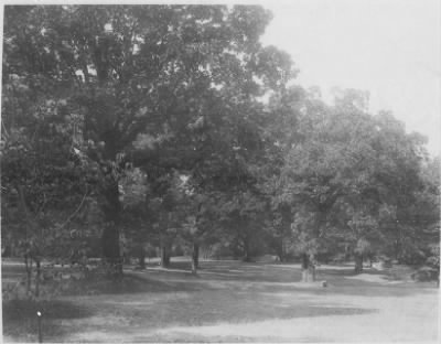 Washington, DC, 1870-1950 > Statues and Memorials