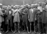 Thumbnail for Ebensee_concentration_camp_prisoners_1945.jpg