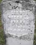 Thumbnail for Lt Green Lee Brown 1823-1906.jpg