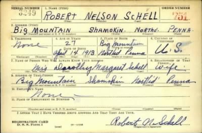 Thumbnail for Robert Nelson > Schell, Robert Nelson