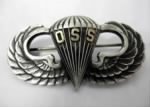 Thumbnail for wwii-era-oss-insignia-medal.png