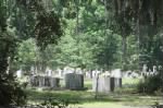 Thumbnail for CEMETARY.jpg