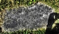 Thumbnail for earl boggs head stone grave (5).jpg