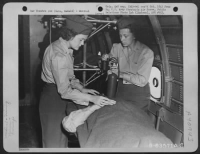 Thumbnail for Consolidated > Flight Nurses Being Trained On Bivouac Area At Oahu, Hawaii, For Work In The Jungles.  21 May 1944.