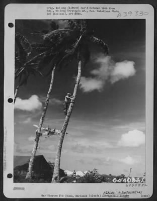 Thumbnail for Consolidated > Sgt. Marvin S. Hollinger, A Linesman Who Is Stringing A Communications Wire, Stops His Work To Watch A Consolidated B-24 Liberator Of The 11Th Bomb Group, Take Off From Guam, Marianas Island, January 1945.