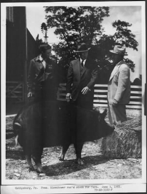 1955 > Farm at Gettysburg, PA.