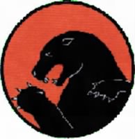 Thumbnail for 338th Fighter Squadron patch.jpg