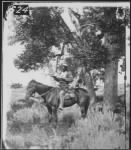 Bloody_Knife,_Custer's_scout,_on_Yellowstone_Expedition,_1873_-_NARA_-_524373.tif.jpg