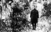 alvin-york_hill.jpg