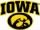 Thumbnail for Iowa-Tigerhawk1-Vinyl-Car-Decal.JPG