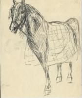 Thumbnail for PaHorse drawn by Elmer Leslie Tipps.jpg