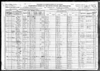 Thumbnail for 1920 United States Federal Census for Thomas Delks.jpg