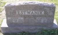 Thumbnail for Estwanki.jpg