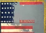 Thumbnail for 1st-minnesota-flag1.jpg