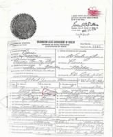 Thumbnail for Edlin Birth Certificate.jpg