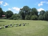 Thumbnail for Riley Brown grave.jpg