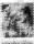 Thumbnail for Katzenbach, Nicholas d_The Odessa American_TX_Fri_01 Oct 1965_Pg 13_PhotoX.jpg