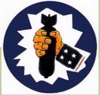 Thumbnail for 310th BG Emblem.JPG