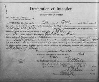 Thumbnail for Rinaldi, Gaetano > Declaration of Intention (1901)