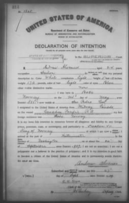 Alvenees, Andrew > Declaration of Intention (1909)