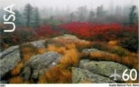 Thumbnail for acadia natl park.jpg