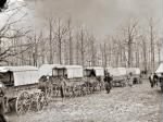 Thumbnail for Harewood Hospital DC ambulance wagons.jpg