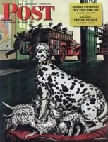 Thumbnail for Dalmatian-and-Pups-368x479.jpg