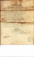 Thumbnail for R150d Harry J. Rhodes Army Discharge Jan 17 1902 reverse Scan0007.jpg