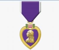 Thumbnail for Purple Heart.JPG