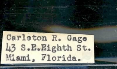 Thumbnail for Carleton Rennie > Gage, Carleton Rennie (1922)