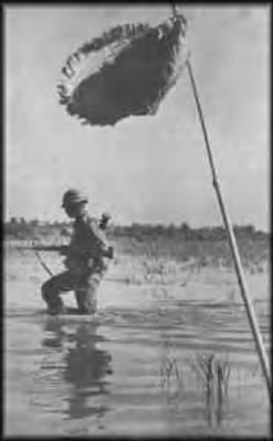 Thumbnail for 1966-1972 Vietnam Photos Uncaptioned > ␀