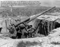 Thumbnail for Japanese 4 gun 120 mm - Guam.jpg