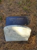 Thumbnail for alpheus salisbury photo by Karen Beck for Find a Grave.jpg