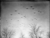 Thumbnail for Douglas_Dakotas_fly_in_formation_over_Wavre,_Belgium.jpg