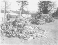 Thumbnail for lossy-page1-1024px-Photograph_of_Clothes_That_Belonged_to_Prisoners_of_the_Dachau_Concentration_Camp_-_NARA_-_531288.tif.jpg