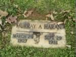 Thumbnail for Uncle Murray grave.jpg