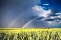 Thumbnail for Double Rainbow over Kansas Field.jpg